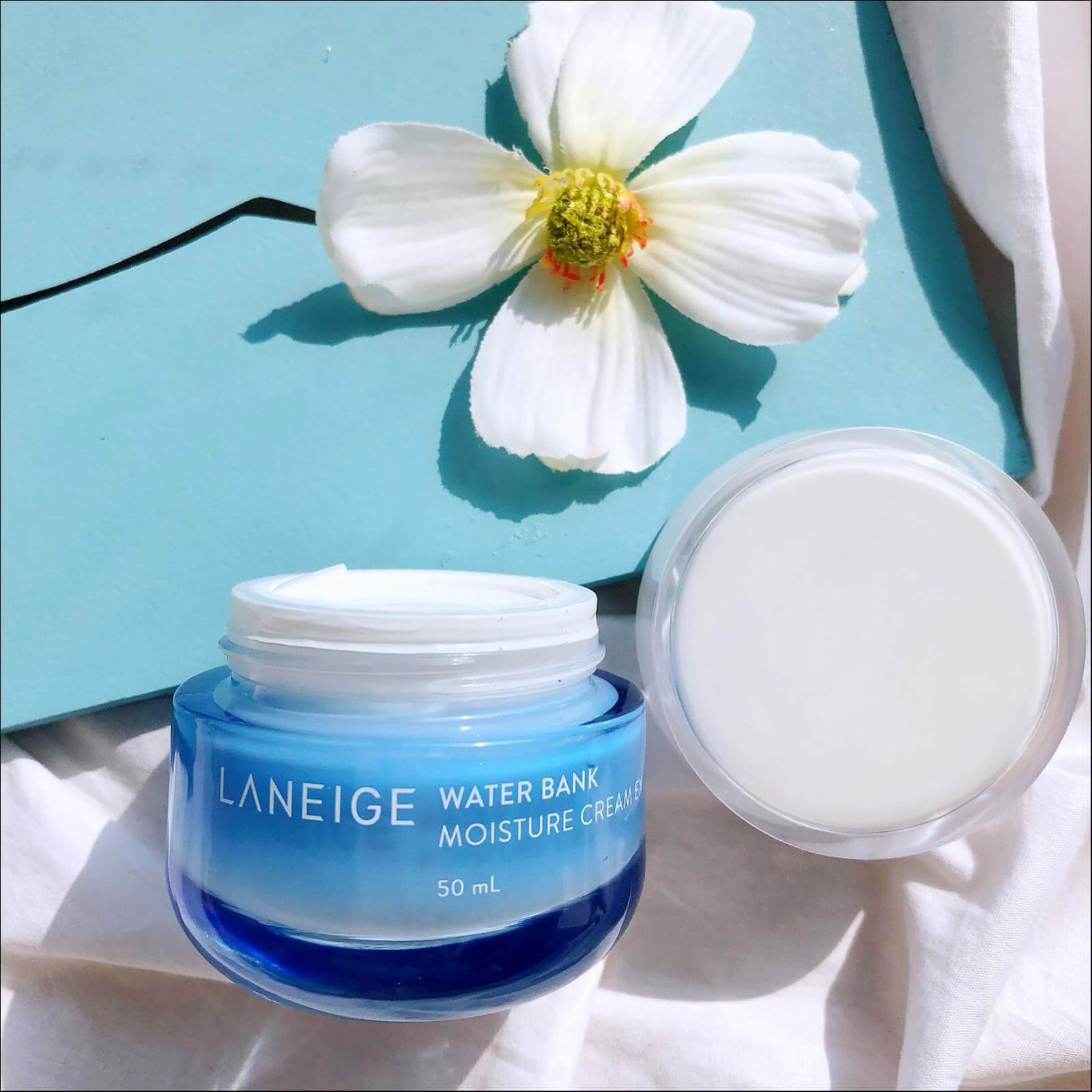 Laneige,Laneige Water Bank Moisture Cream ex 50ml,รีวิว Laneige Water Bank Moisture Cream ex 50ml,Laneige Water Bank Moisture Cream ex 50ml ราคา,Laneige Water Bank Moisture Cream ex 50ml ของแท้,